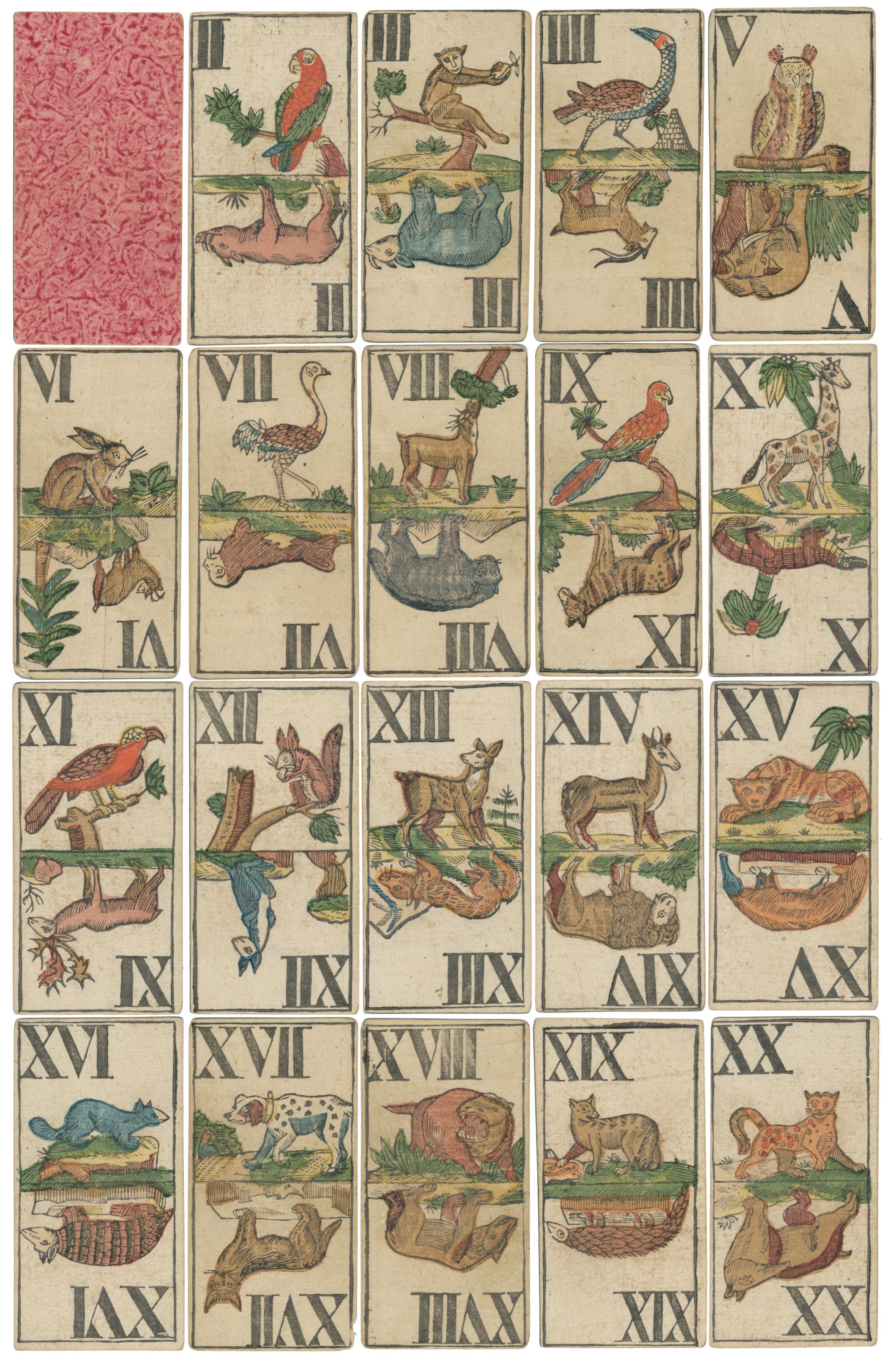 Animal Tarot